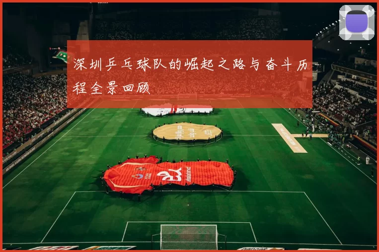 深圳乒乓球队的崛起之路与奋斗历程全景回顾
