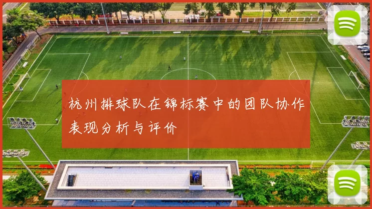 杭州排球队在锦标赛中的团队协作表现分析与评价