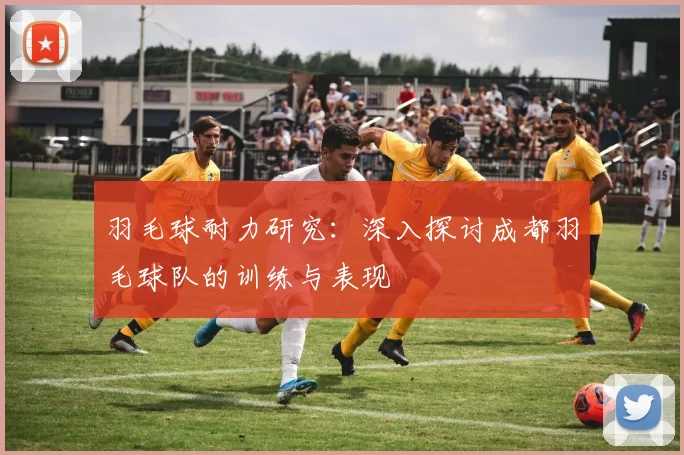 羽毛球耐力研究：深入探讨成都羽毛球队的训练与表现
