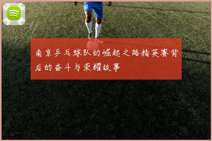 南京乒乓球队的崛起之路精英赛背后的奋斗与荣耀故事