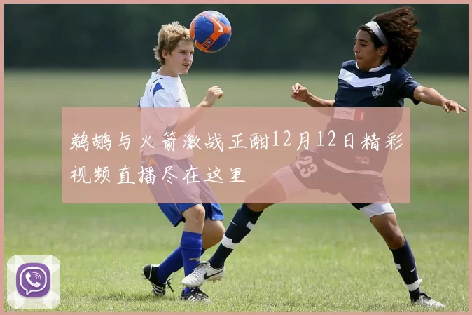 鹈鹕与火箭激战正酣12月12日精彩视频直播尽在这里