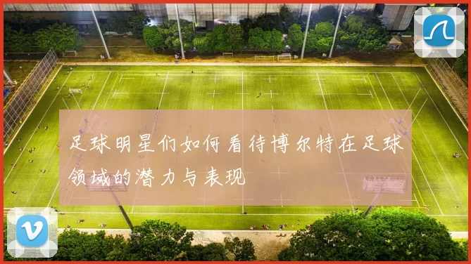 足球明星们如何看待博尔特在足球领域的潜力与表现