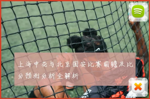 上海申花与北京国安比赛前瞻及比分预测分析全解析