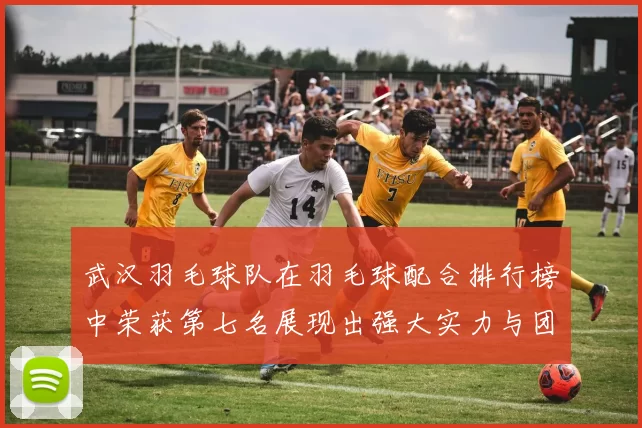 武汉羽毛球队在羽毛球配合排行榜中荣获第七名展现出强大实力与团队协作