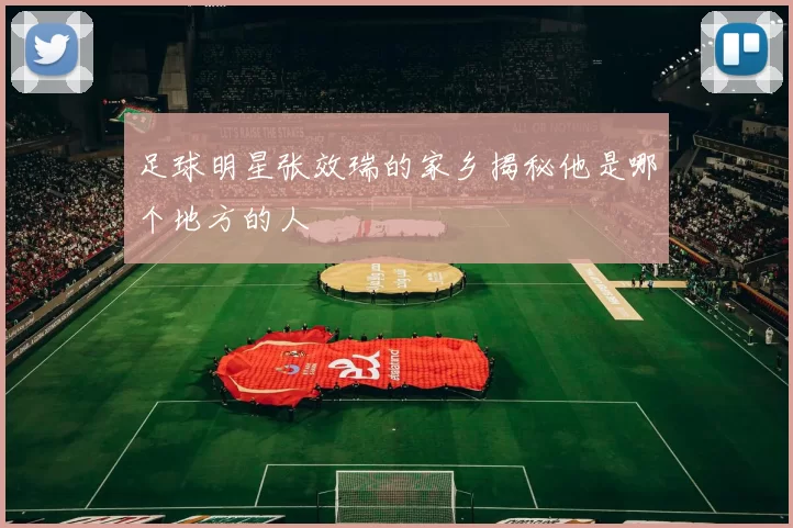 足球明星张效瑞的家乡揭秘他是哪个地方的人