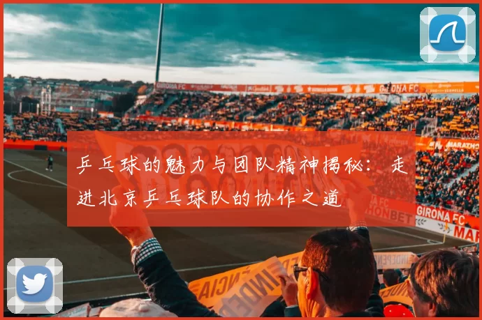 乒乓球的魅力与团队精神揭秘：走进北京乒乓球队的协作之道