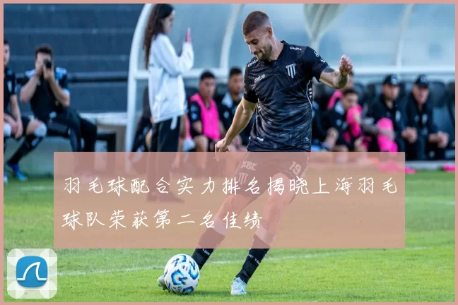 羽毛球配合实力排名揭晓上海羽毛球队荣获第二名佳绩