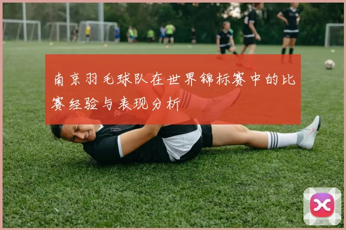 南京羽毛球队在世界锦标赛中的比赛经验与表现分析