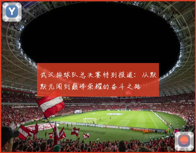 武汉排球队总决赛特别报道：从默默无闻到巅峰荣耀的奋斗之路