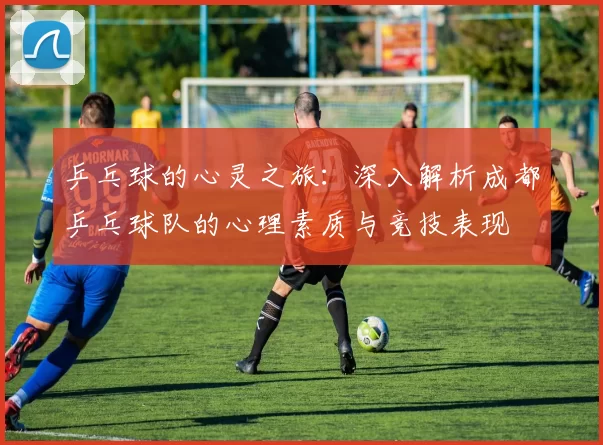 乒乓球的心灵之旅：深入解析成都乒乓球队的心理素质与竞技表现