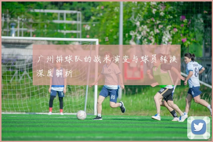 广州排球队的战术演变与球员转换深度解析