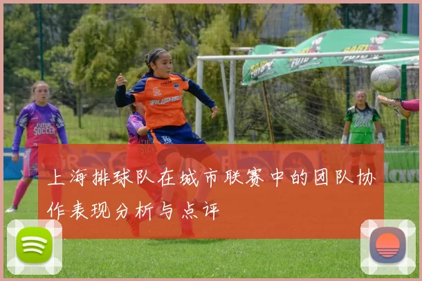 上海排球队在城市联赛中的团队协作表现分析与点评