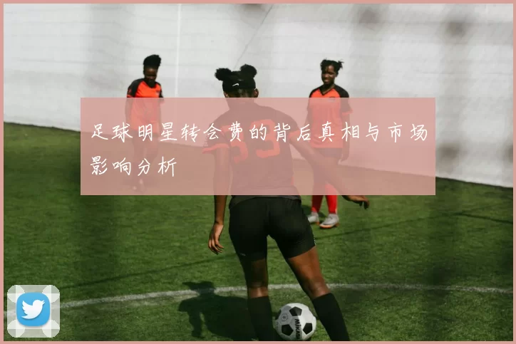 足球明星转会费的背后真相与市场影响分析