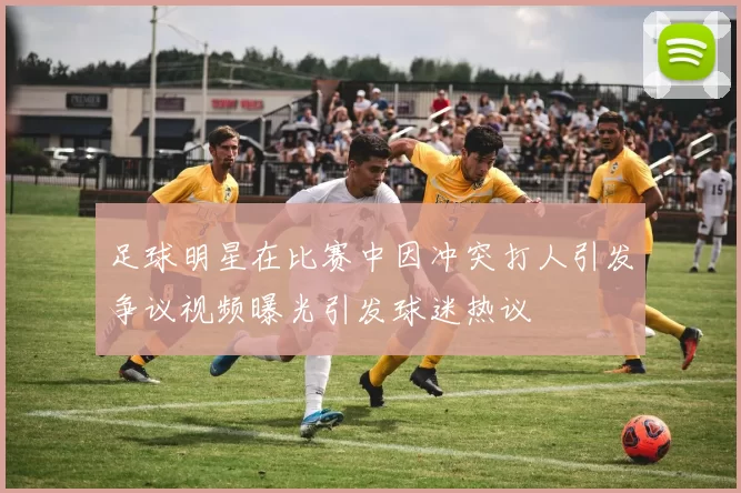 足球明星在比赛中因冲突打人引发争议视频曝光引发球迷热议