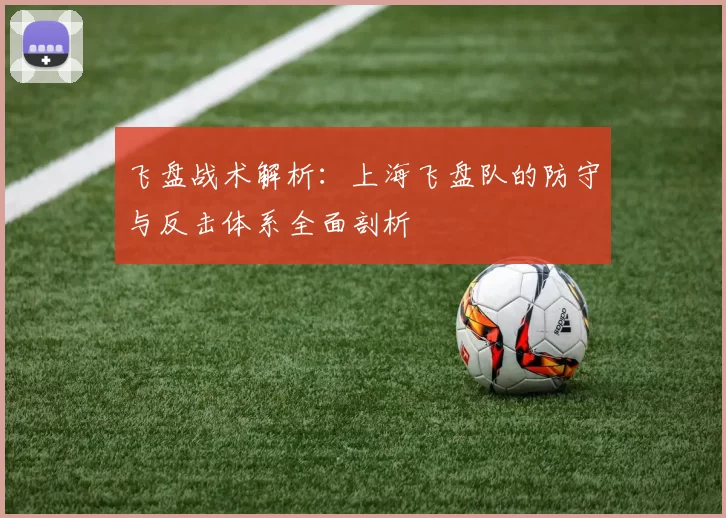 飞盘战术解析：上海飞盘队的防守与反击体系全面剖析
