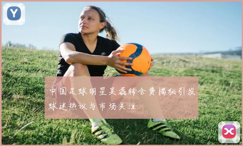 中国足球明星吴磊转会费揭秘引发球迷热议与市场关注