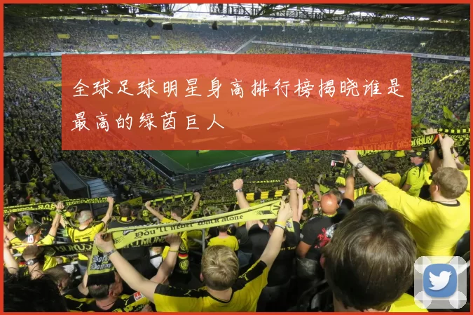 全球足球明星身高排行榜揭晓谁是最高的绿茵巨人