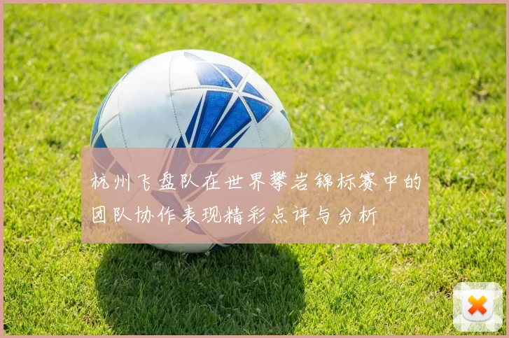 杭州飞盘队在世界攀岩锦标赛中的团队协作表现精彩点评与分析