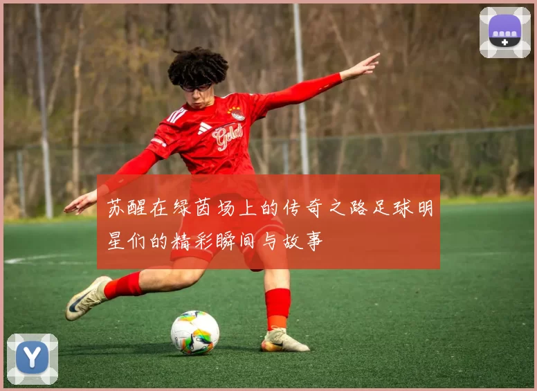 苏醒在绿茵场上的传奇之路足球明星们的精彩瞬间与故事